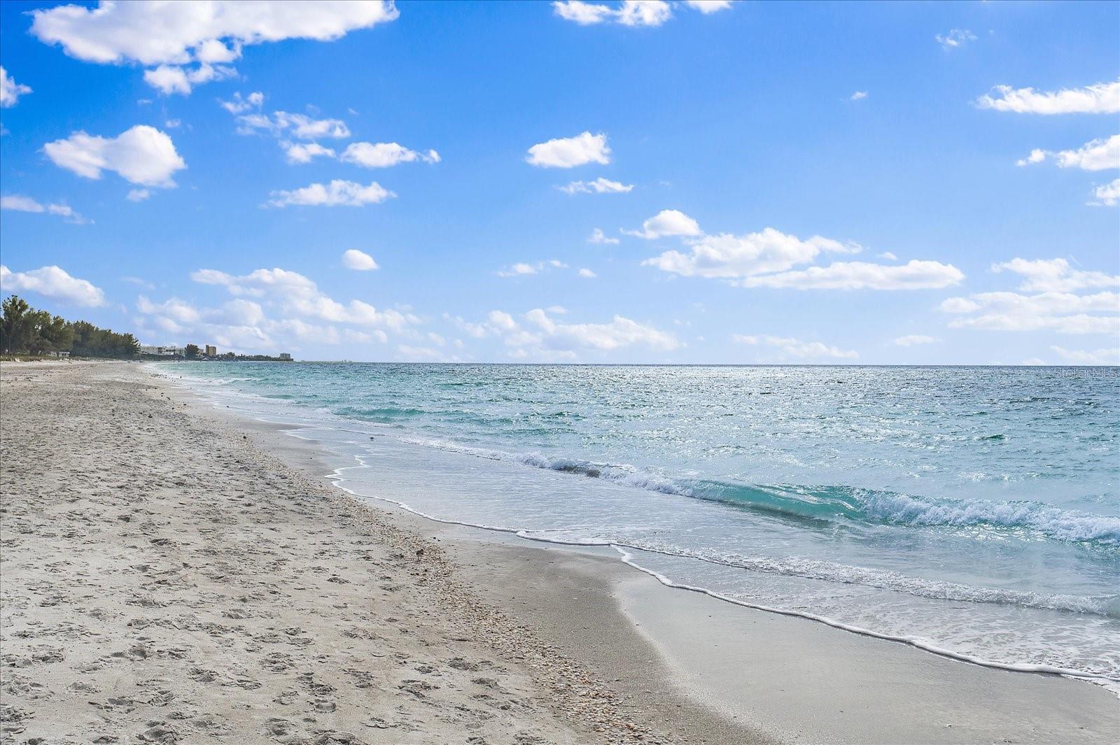 SALTY ACRES - Residential Lease