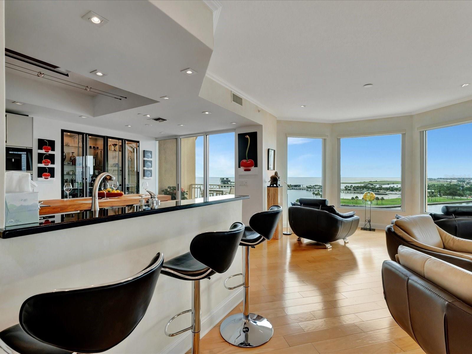 VINOY PLACE CONDO - Residential Lease