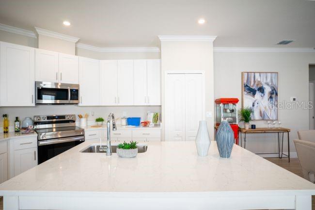 25248 CALUSA DRIVE
