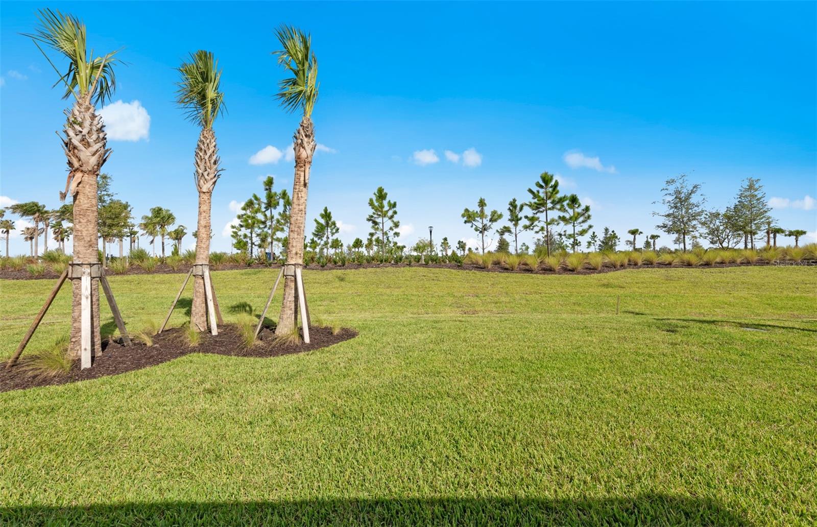 4632; DEL WEBB CATALINA AT LAKEWOOD RANCH - Residential