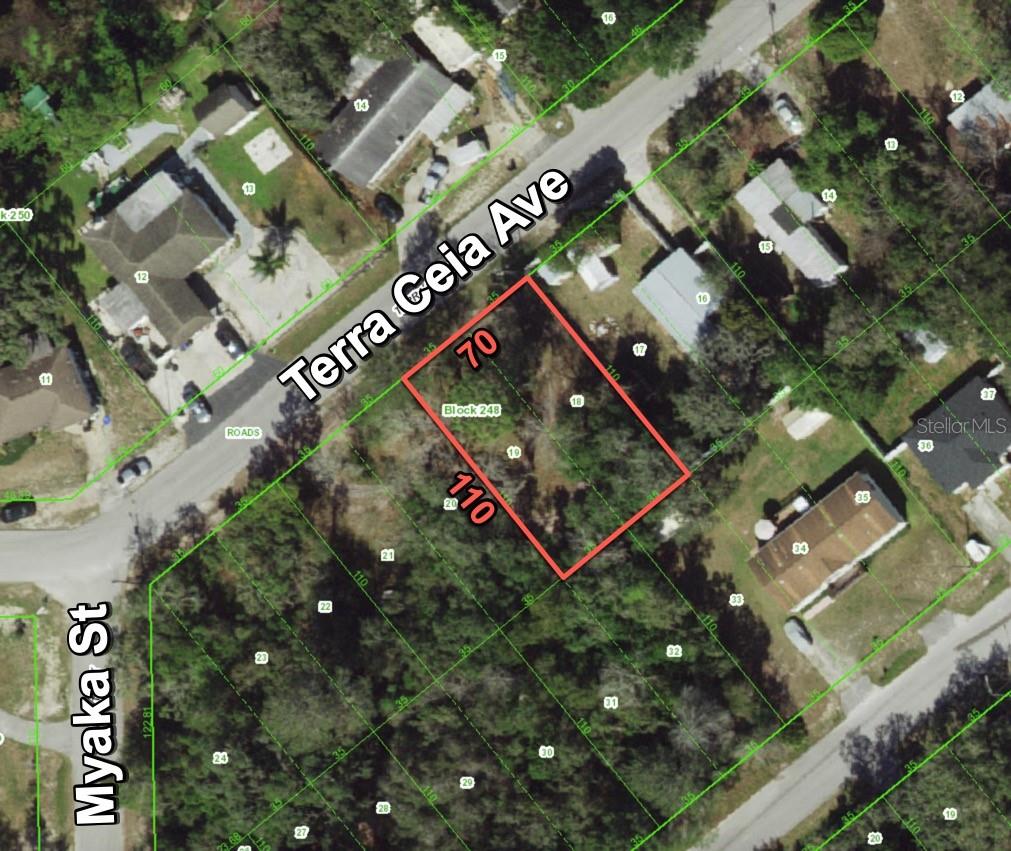 Hot Hot Hot! Two adjoining platted residential lots. High and Dry and No Flood Zone! Approximately .18 Acre, partially cleared lot on a paved road with electricity services on the street. Mobile homes and site built homes Allowed! Build your dream home today or invest in your future! Located in the Moon Lake Estates subdivision in Pasco County. Welcome to Florida's Nature Coast, abundant with rivers and springs, state forests and preserves, and the waters of the Gulf coast. Land and water adventures await your arrival. Go hiking, biking, riding, boating and more. Shopping, dining, and entertainment are all nearby. Easy access to the Suncoast Parkway, I-75, US 19 and US 41 make the Tampa Bay area, Orlando, and Ocala all an easy trip. Buy this property today for a quick cash price of $19,900. That's far below nearby comparable sales and WAY below nearby properties on the market!
The property is a vacant lot and does not yet have an official assigned address. The 12338 address used is from online sources and is for location and marketing purposes only. Use the home address next door of 12344 Terra Ceia Ave, New Port Richey. The subject is the vacant lot immediately west of this home (to the right if you are looking at the property). From the corner of Moon Lake Drive and Terra Ceia Ave, head east on Terra Ceia Ave for approximately .3 mile. The subject is the vacant lot on the right, after Myaka Street, and just before 12344 Terra Ceia Ave
