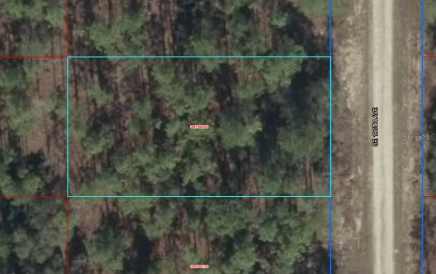 AFFORDABLE, 0.25 AC, HIGH AND DRY, LEVEL/FLAT, BUILDING LOT w/Good Trees you can work with. Enough Privacy to enjoy, but still close enough to good roads to get you to Dunnellon, Ocala, Inverness and Chiefland. This is great land at a great price in the Rainbow Lakes Subdivision w/Many Lakes to Enjoy. NO HOA, NEAR POWER and Site Built Homes ONLY with NO MOBILE HOMES. Near CR 337 to take you to Crystal River and the Gulf of Mexico. Buy this land as an investment with low taxes or buy and build your dream home right here in the Sunshine State now or in the future with no timeline to build.  (1) of (3) Lots for Sale on the Same Street.   Lot GPS Coordinates: 29.17509453, -82.54246011