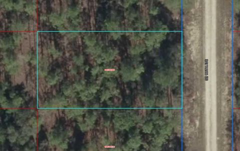 Lot 10 SE 136TH AVENUE DUNNELLON FL 34431