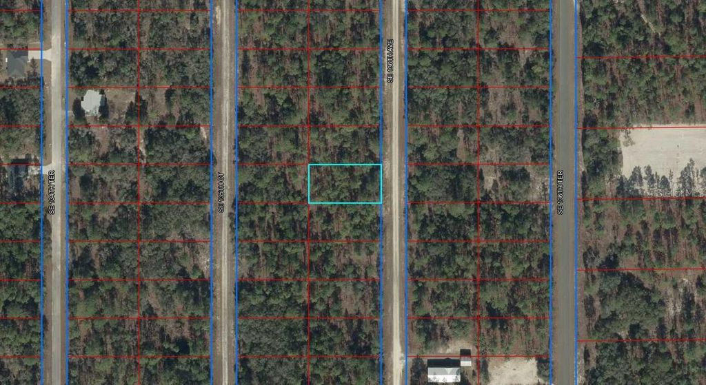 Photo of 10 SE 136th Avenue, Dunnellon, FL 34431 (MLS # OM718621)