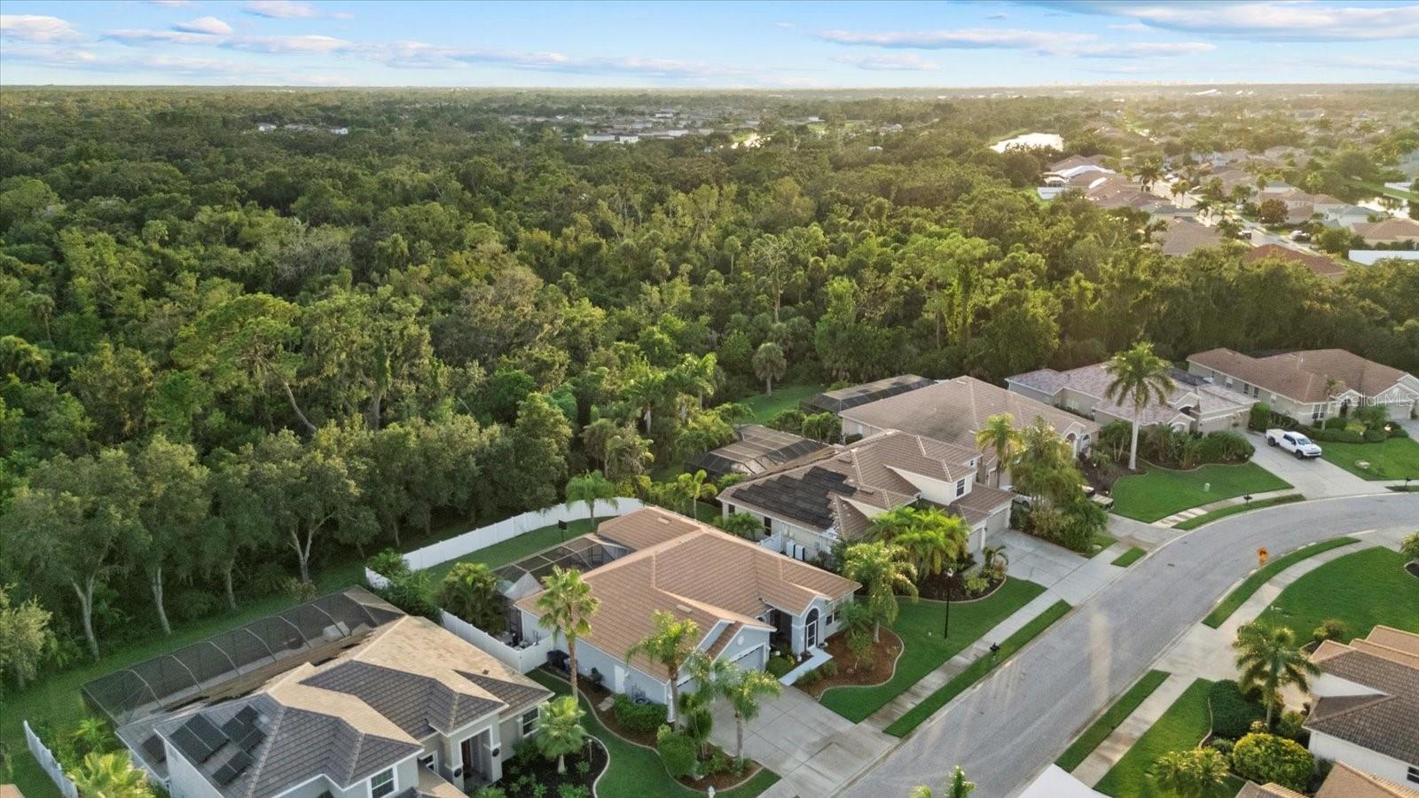 VILLAGES/PINE TREE SPRUCE PINE - Residential