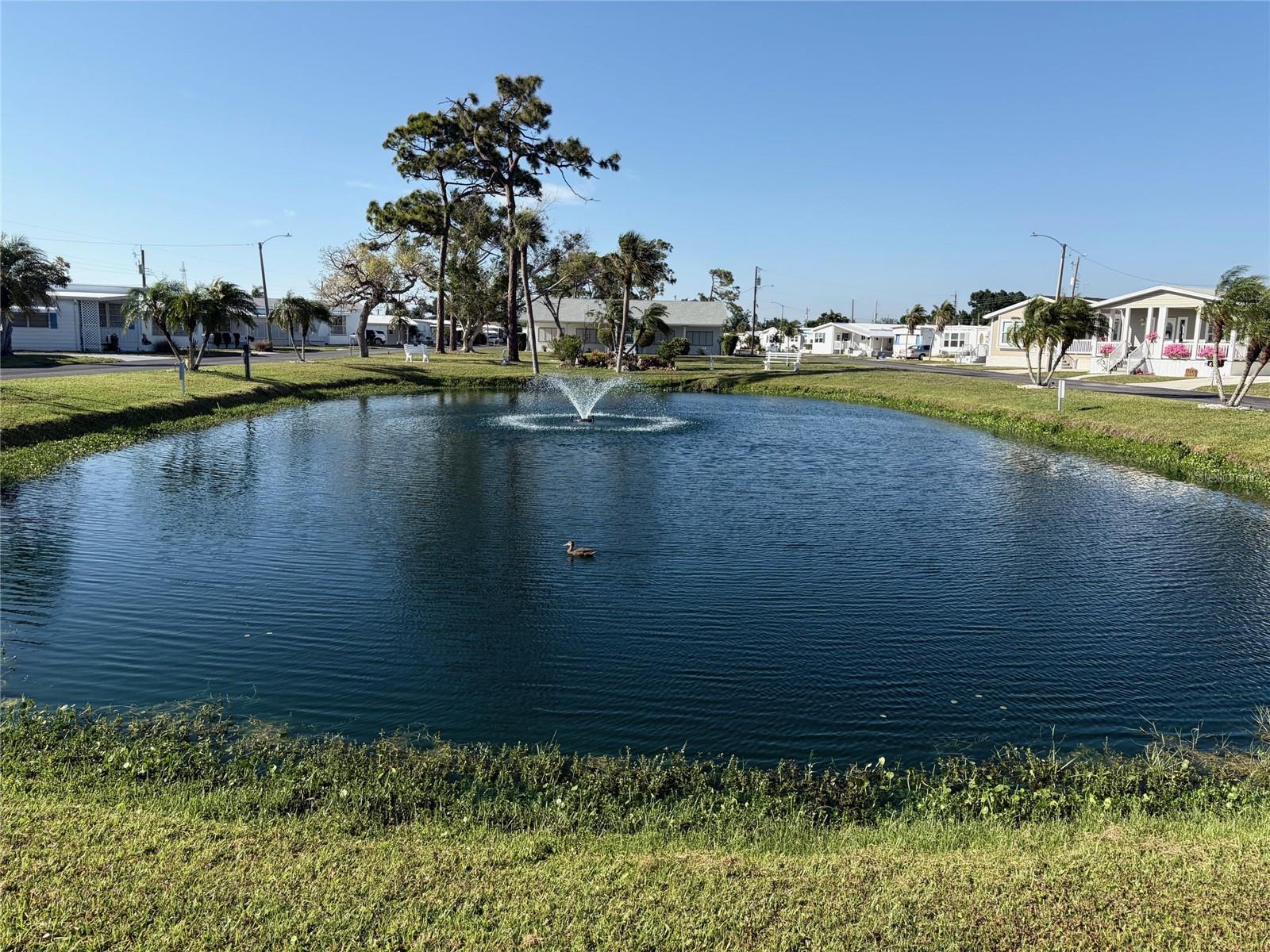 COLONIAL MANOR - Land