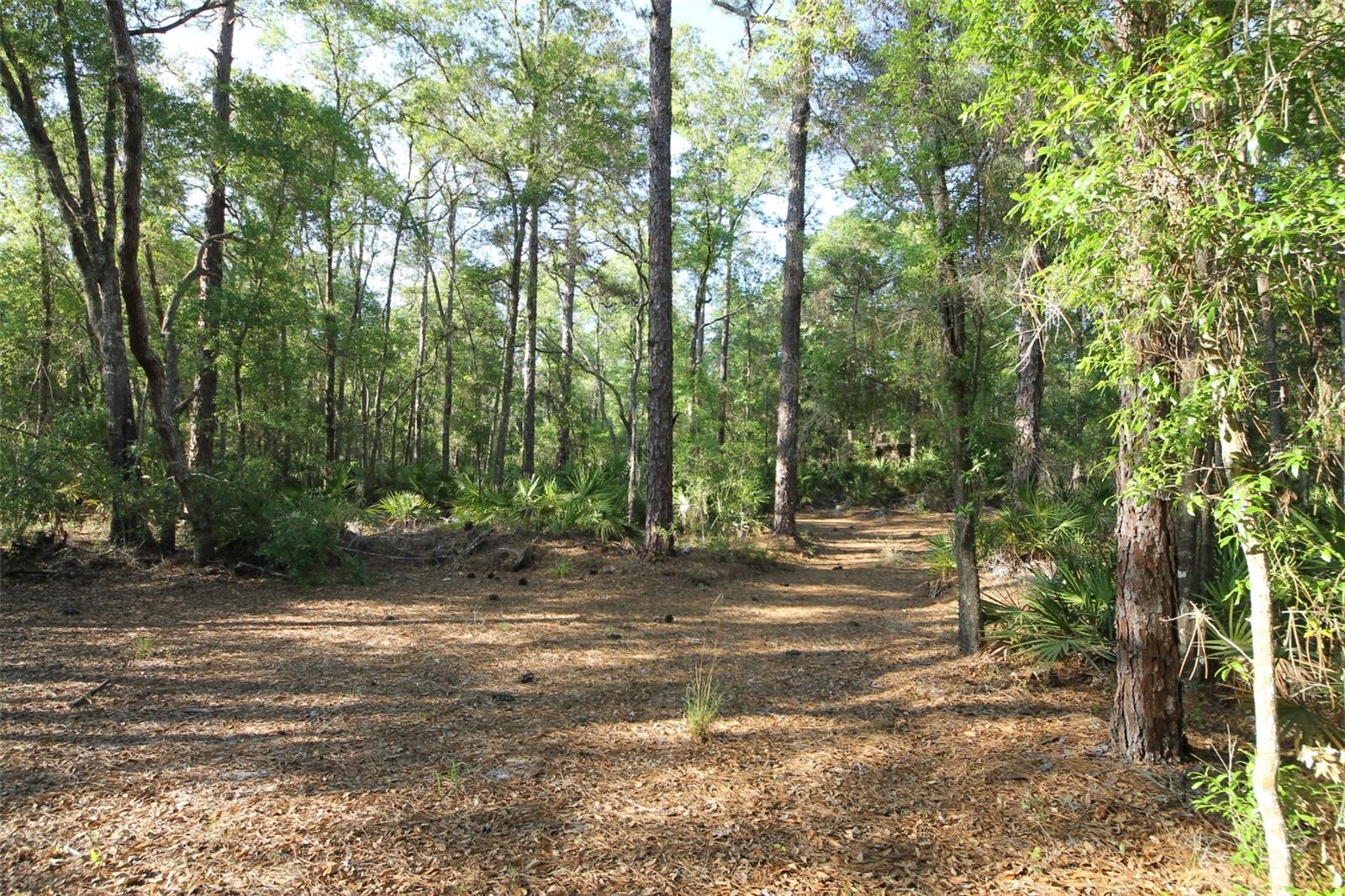 HOMOSASSA UNIT 06 - Land