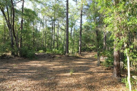 Tiny photo for 7982 W Mayfair Drive, Homosassa, FL 34448 (MLS # W7885435)