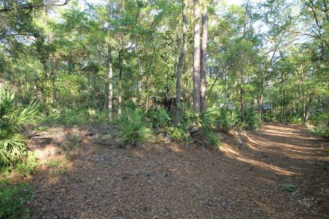 Tiny photo for 7982 W Mayfair Drive, Homosassa, FL 34448 (MLS # W7885435)
