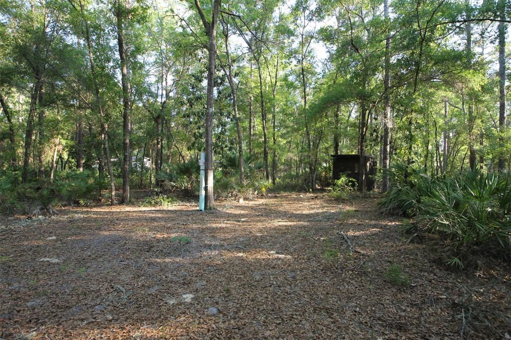 Photo of 7982 W Mayfair Drive, Homosassa, FL 34448 (MLS # W7885435)