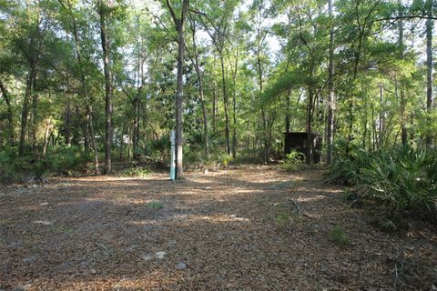 Photo of 7982 W Mayfair Drive, Homosassa, FL 34448 (MLS # W7885435)