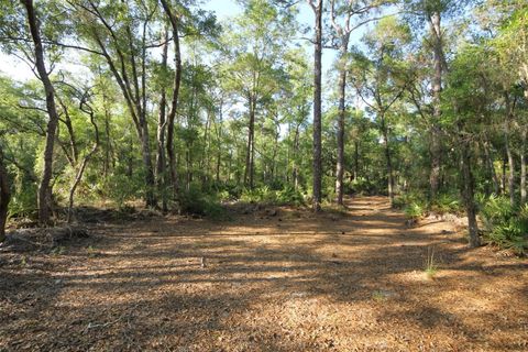 Tiny photo for 7982 W Mayfair Drive, Homosassa, FL 34448 (MLS # W7885435)