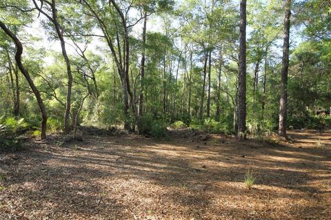 Tiny photo for 7982 W Mayfair Drive, Homosassa, FL 34448 (MLS # W7885435)