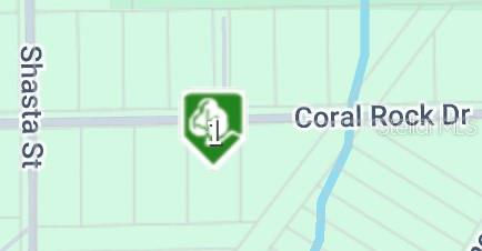 33258 CORAL ROCK DRIVE