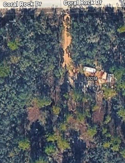 Photo of 33258 Coral Rock Drive, Webster, FL 33597 (MLS # TB8546118)