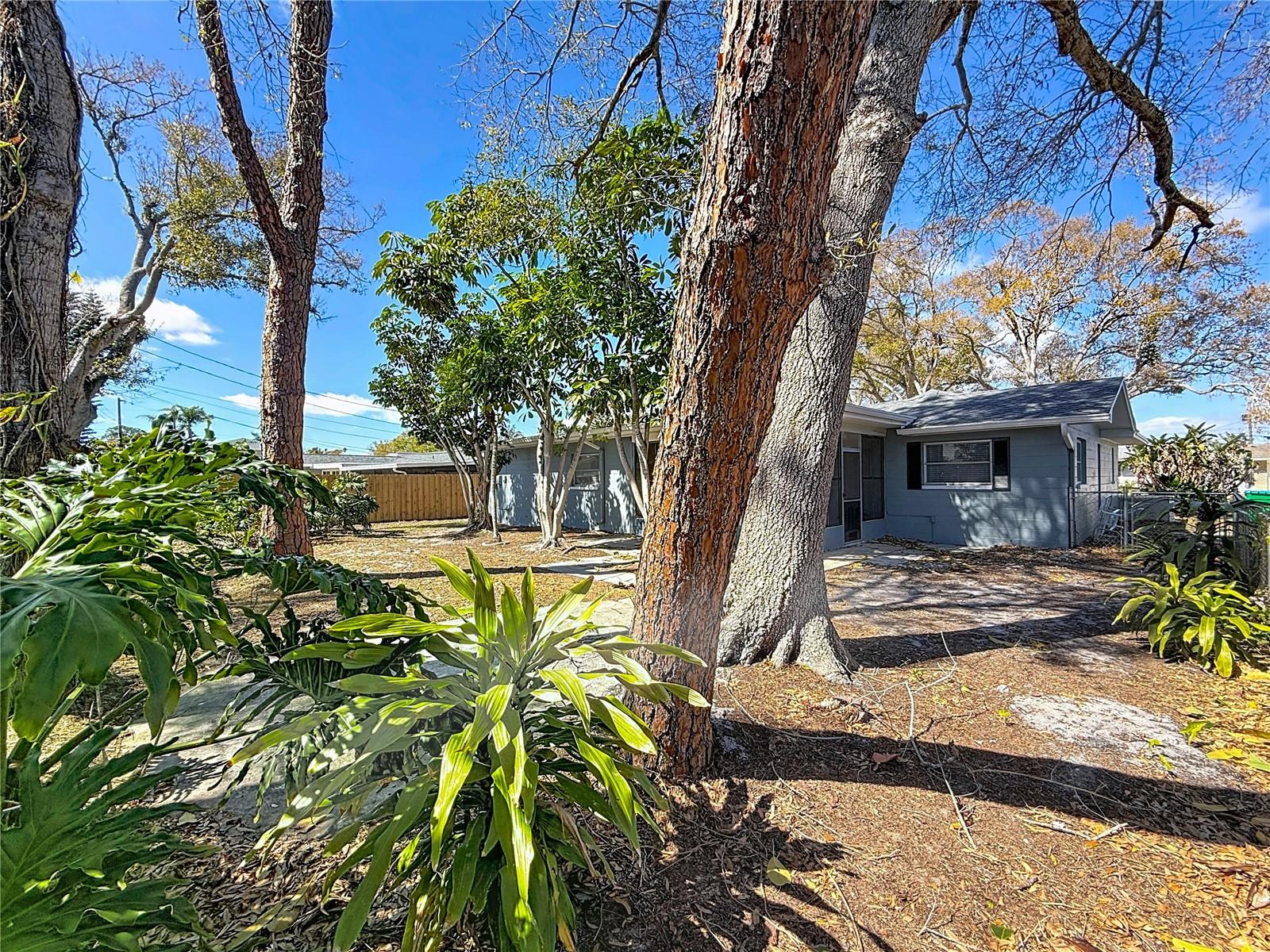 PINEOLA 1ST ADD - Residential