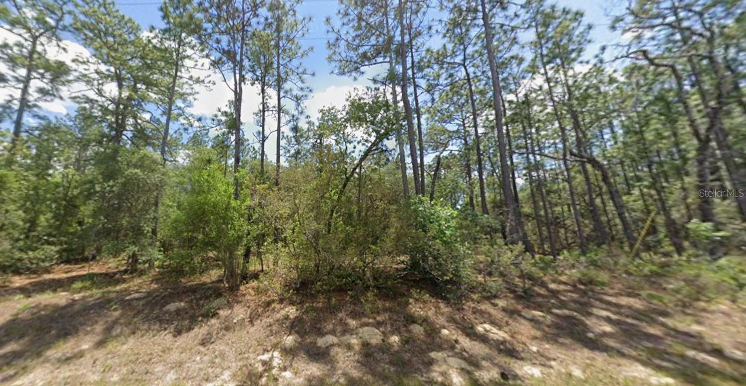 CITRUS SPGS UNIT 03 - Land