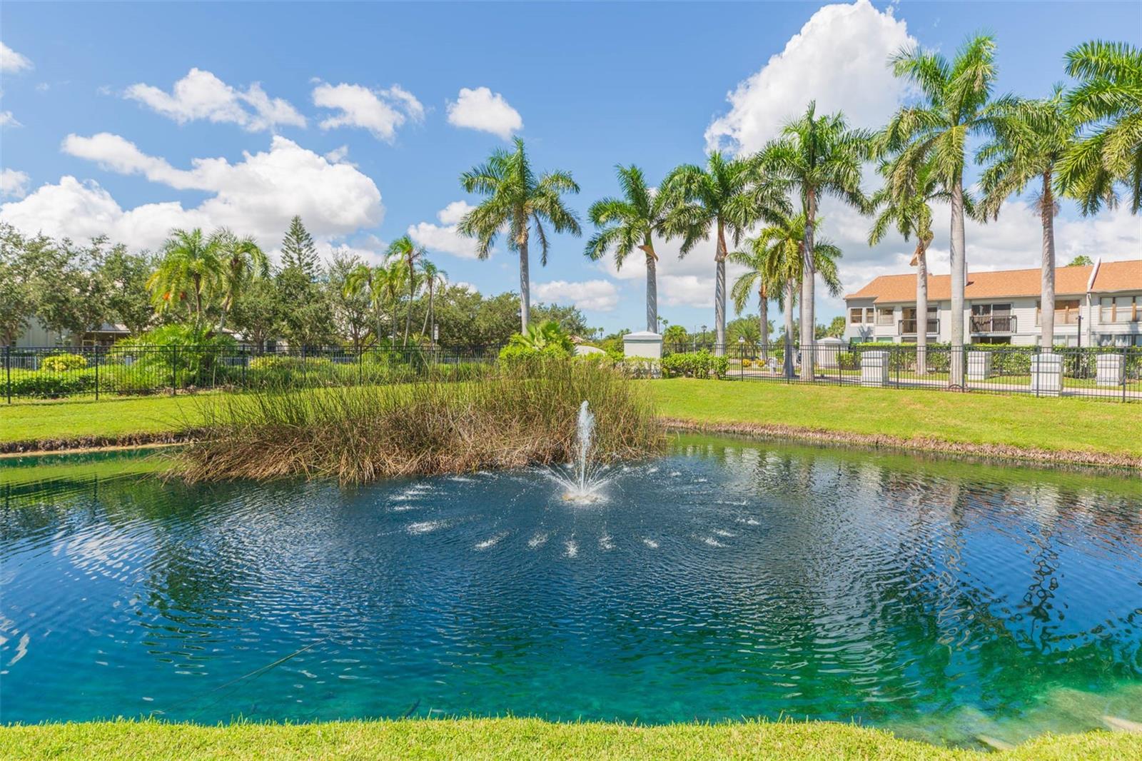 CLUB AT FEATHER SOUND THE CONDO - Residential