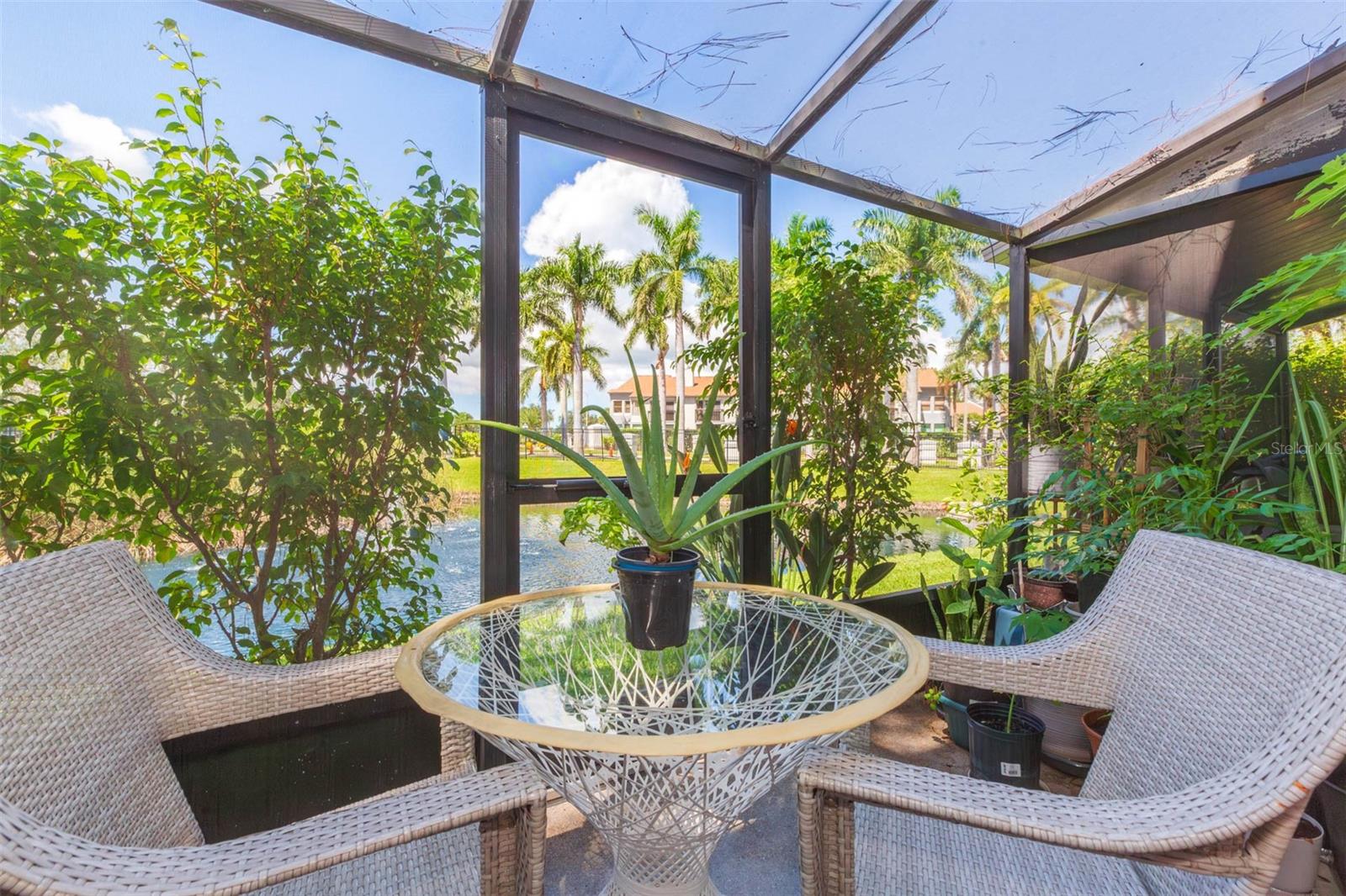 CLUB AT FEATHER SOUND THE CONDO - Residential