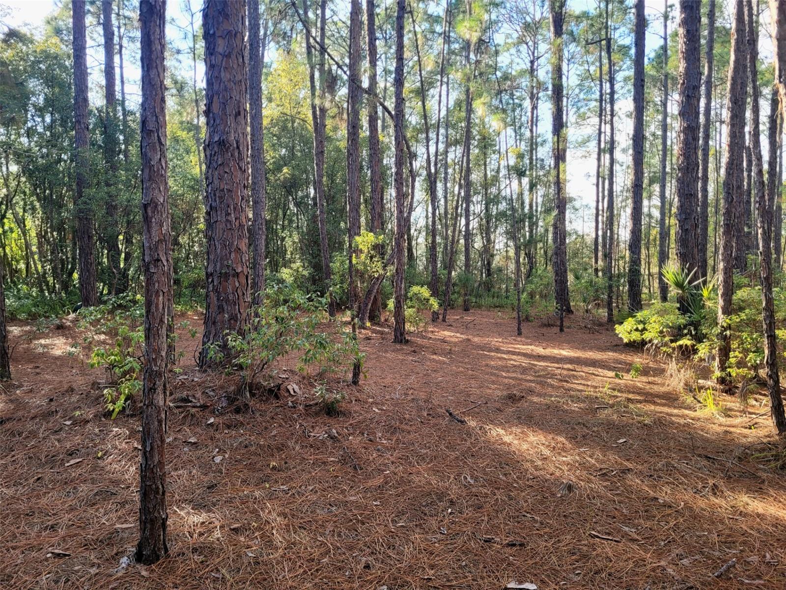 ACREAGE & UNREC - Land