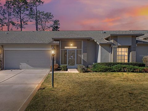 Photo of 11625 Baronwood Court, Hudson, FL 34667 (MLS # W7882694)