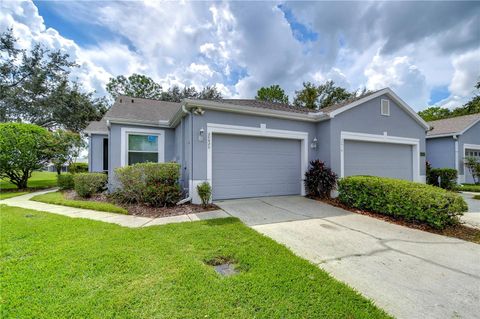 A home in LAND O LAKES