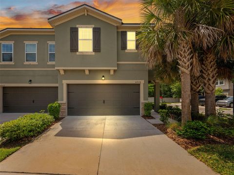 5974 GRAND SONATA AVENUE LUTZ FL 33558