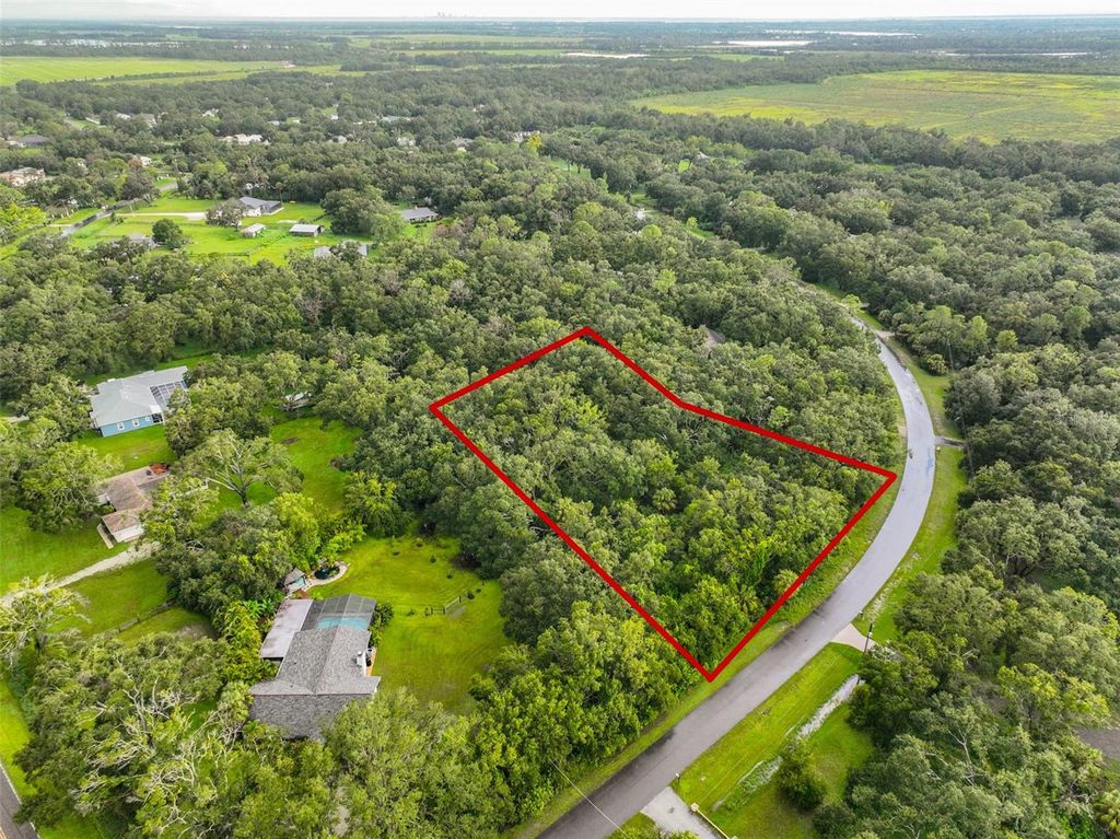 Photo of 0 Lone Palm, Wimauma, FL 33598 (MLS # TB8422295)