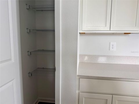 Tiny photo for 2938 Good Vibes Way, Clermont, FL 34714 (MLS # O6420926)