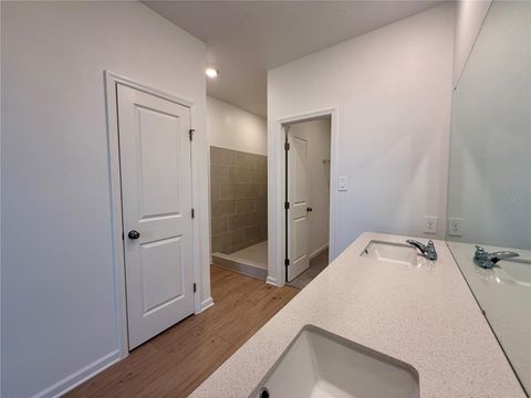 Tiny photo for 2938 Good Vibes Way, Clermont, FL 34714 (MLS # O6420926)