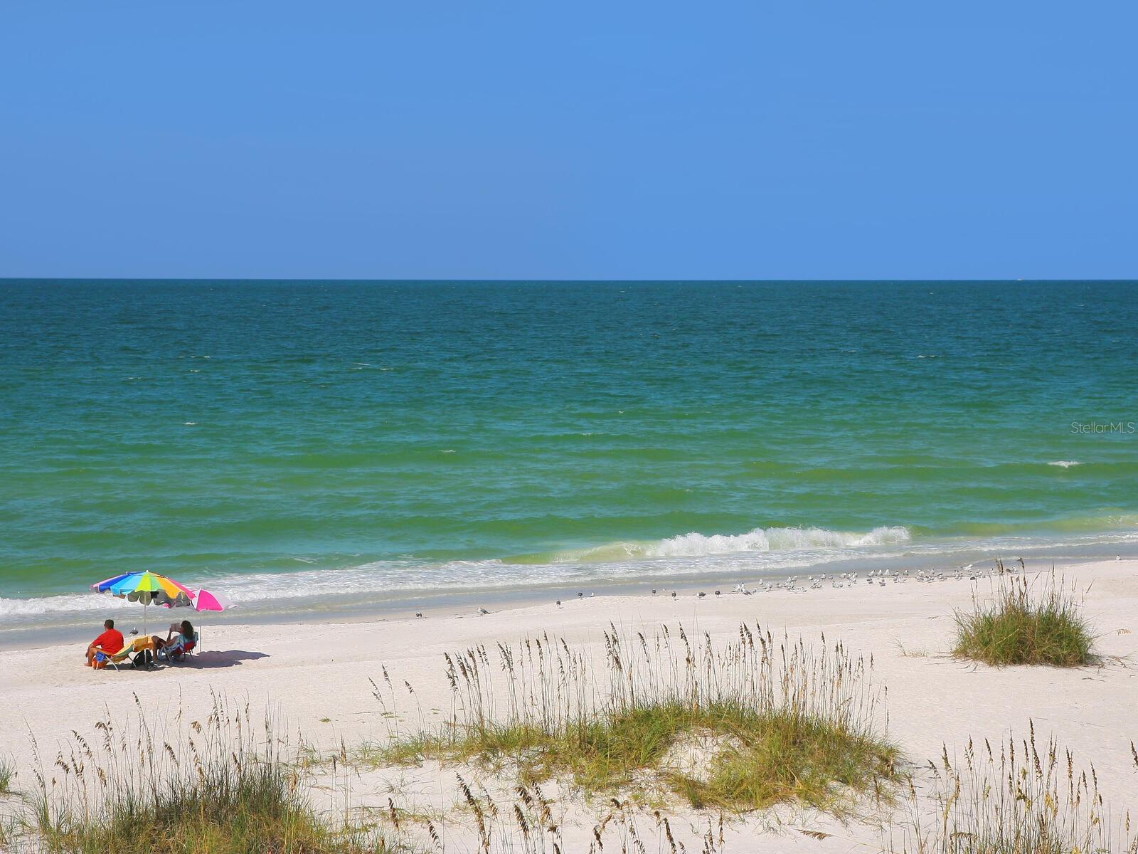 BEACH HARBOR CLUB - Residential