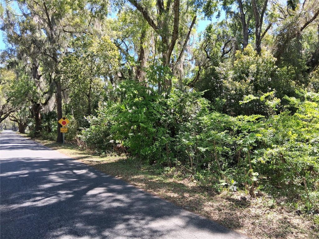 Photo of 10th Street, Webster, FL 33597 (MLS # G5109842)