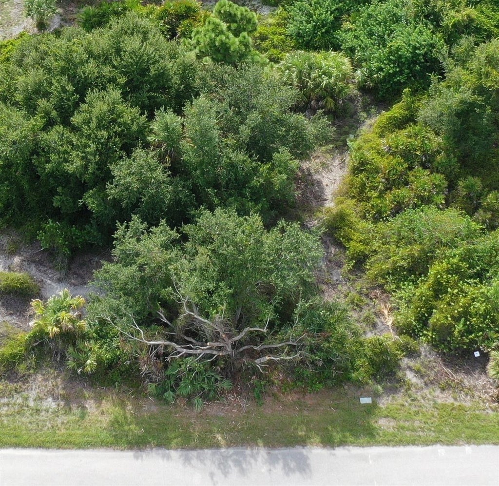Photo of 10097 Rydell Street, Port Charlotte, FL 33981 (MLS # A4705441)