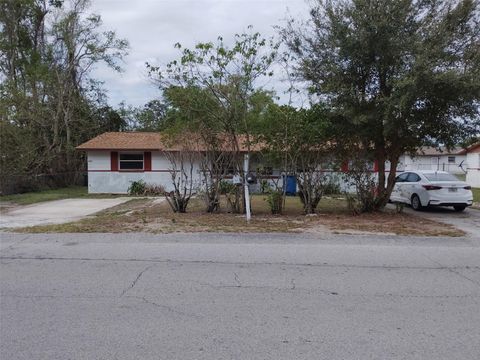 Photo of Fort Meade, FL 33841 (MLS # L4960348)