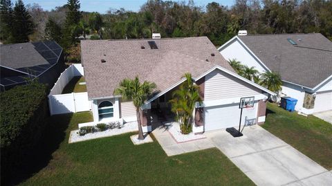 8731 BOYSENBERRY DRIVE TAMPA FL 33635