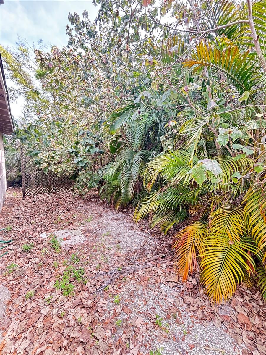 MOUNT VERNON - Residential Lease