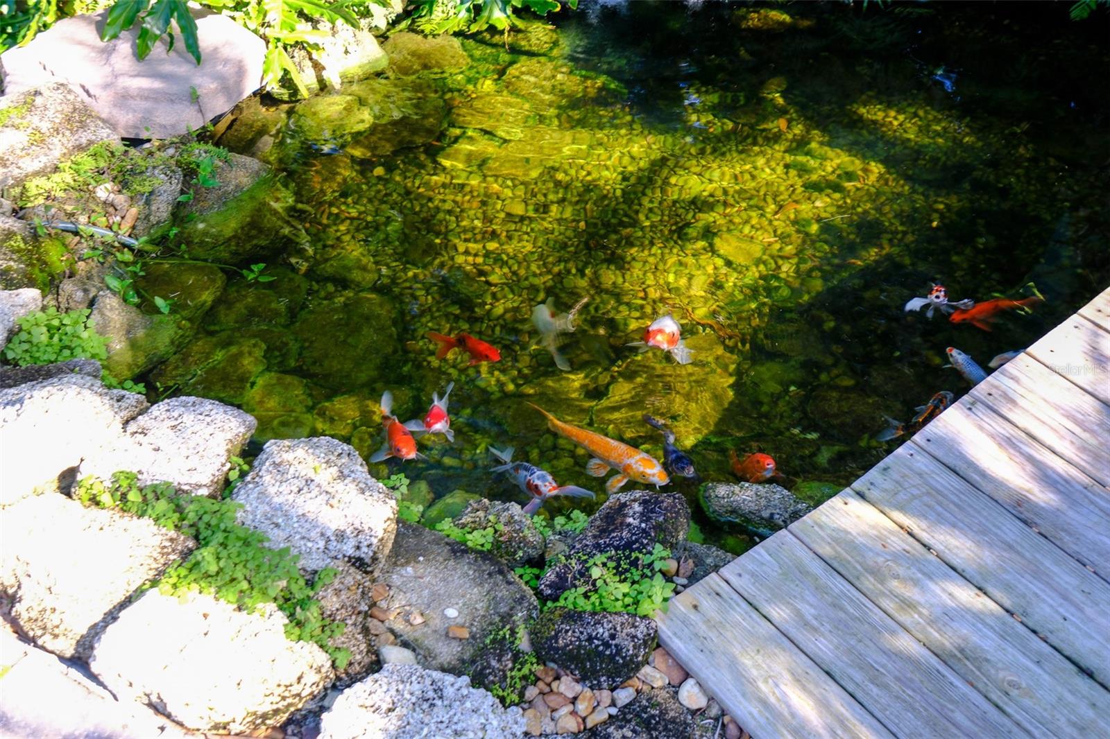 BOUCHELLES ISLAND - Residential