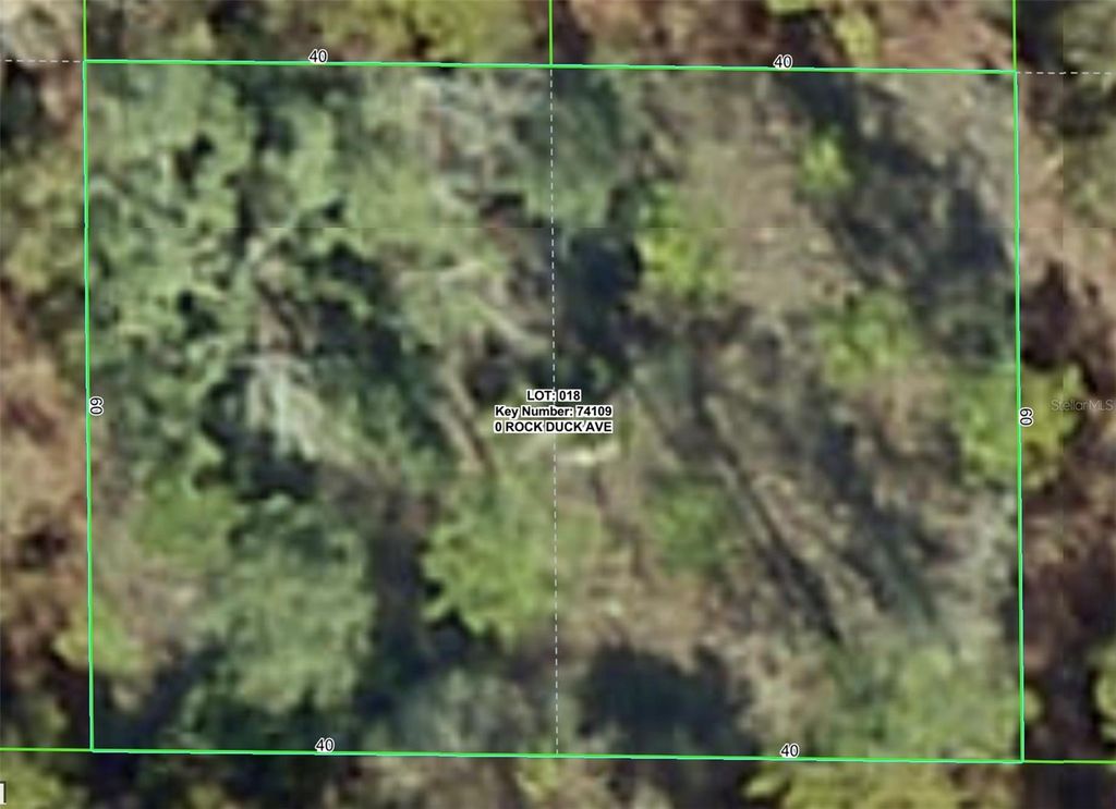 Photo of Rock Duck Avenue, Brooksville, FL 34614 (MLS # W7879486)