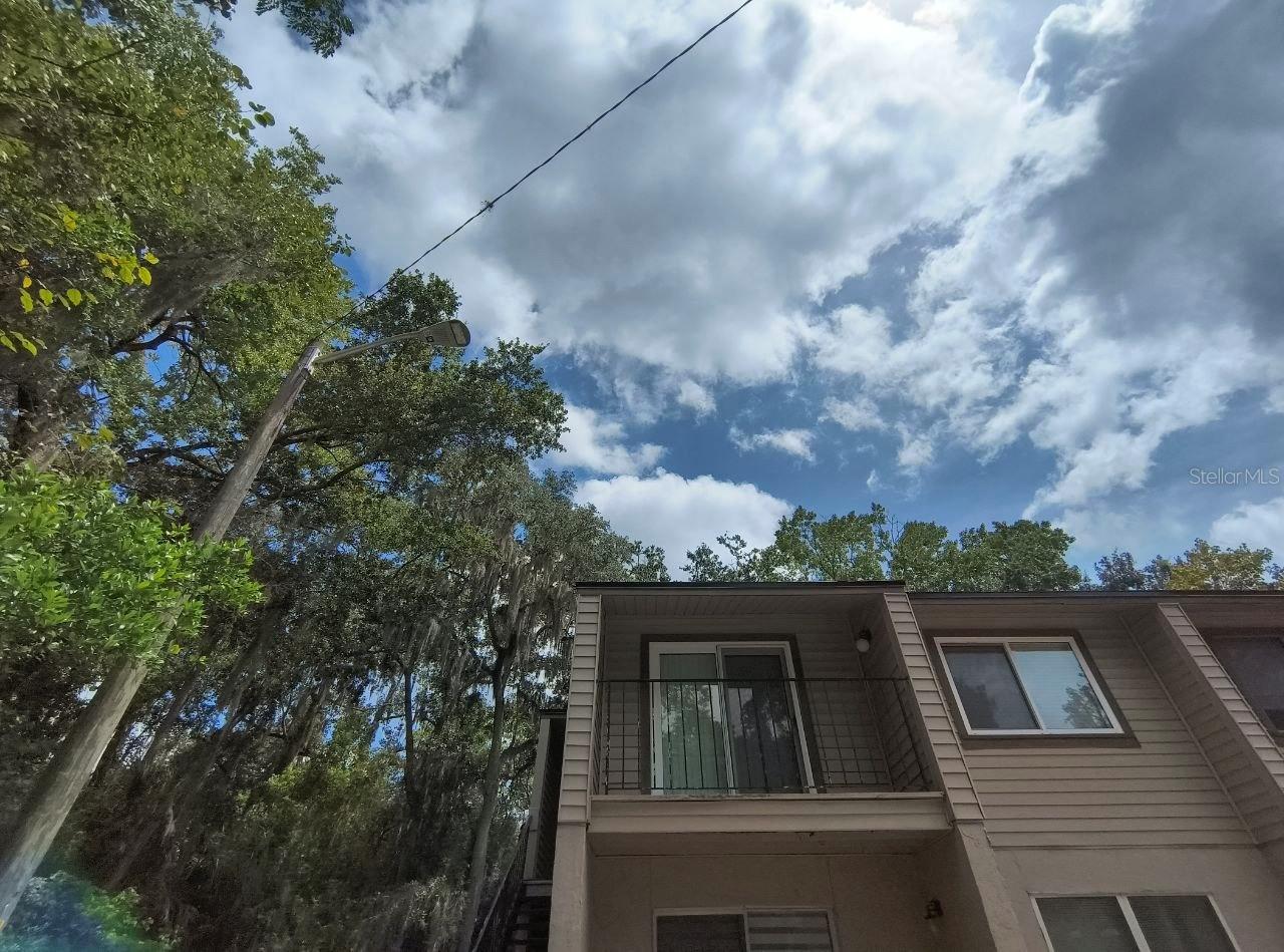 CAMPUS POINT CONDO - Residential Lease