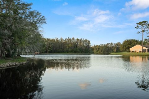 A home in NEW PORT RICHEY