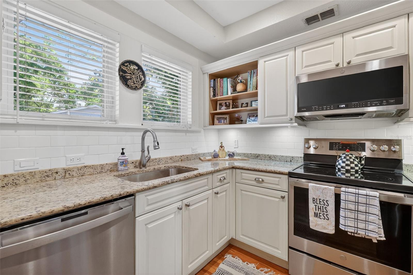 MOUNT DORA BRUN LT 01 - Residential