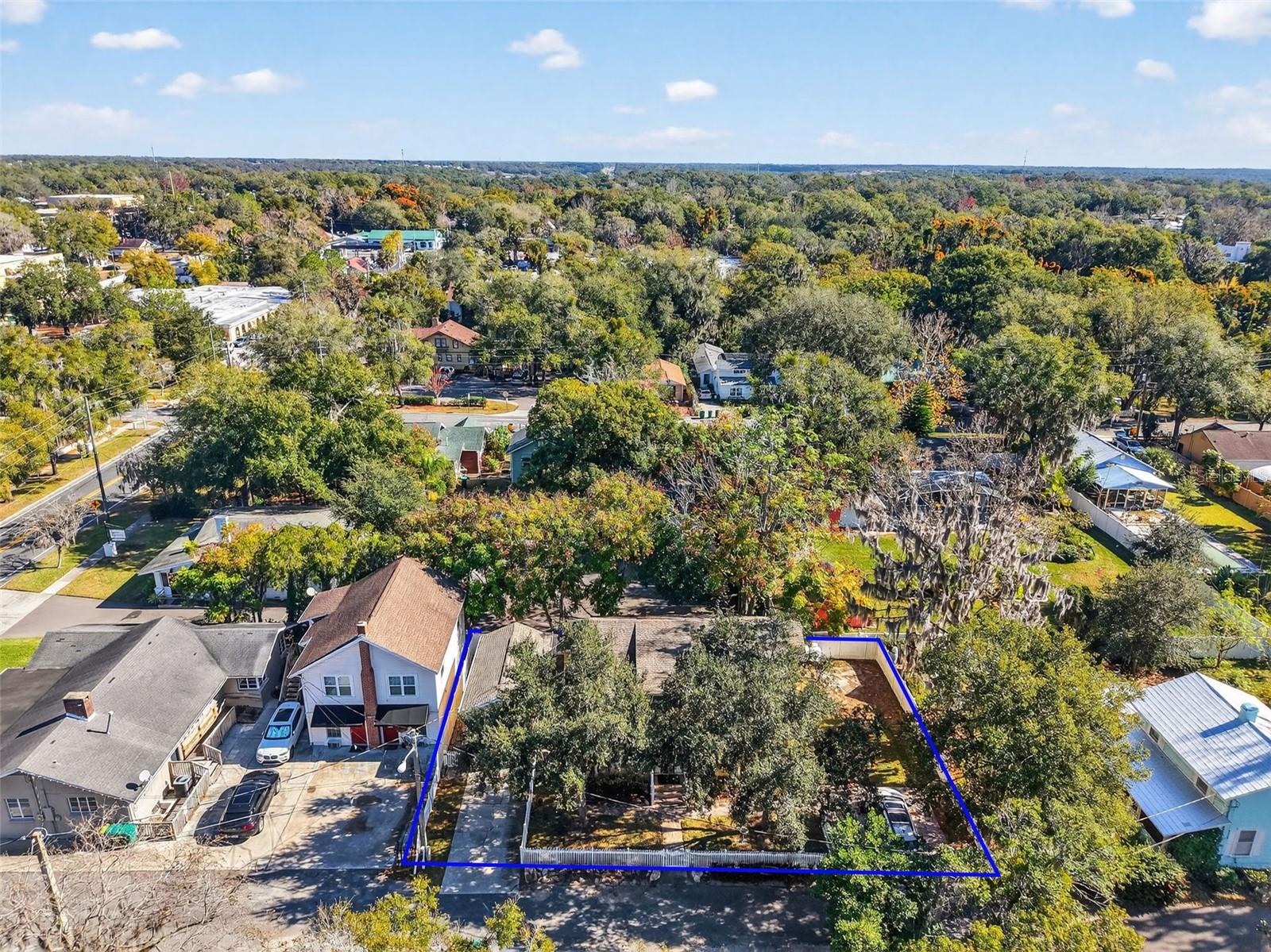 MOUNT DORA BRUN LT 01 - Residential