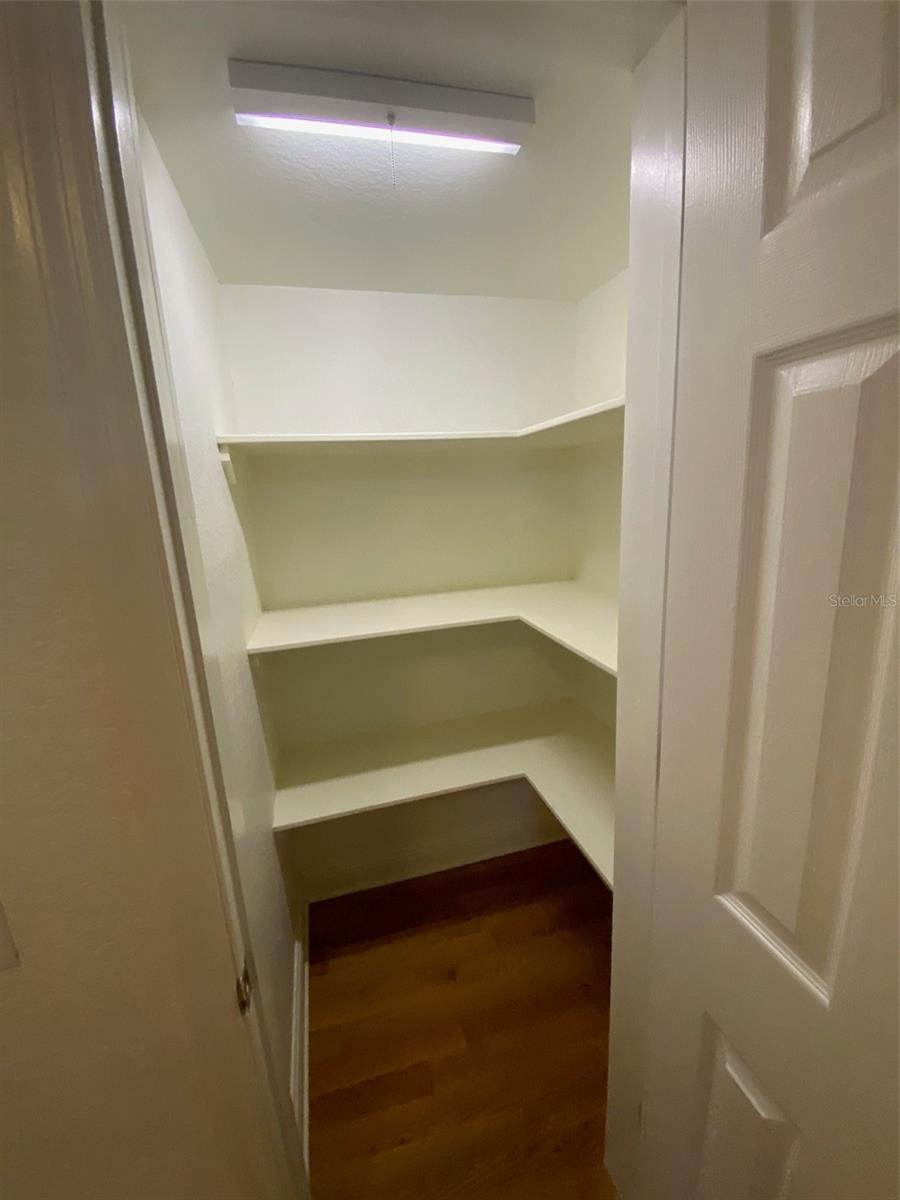 MOUNT DORA BRUN LT 01 - Residential