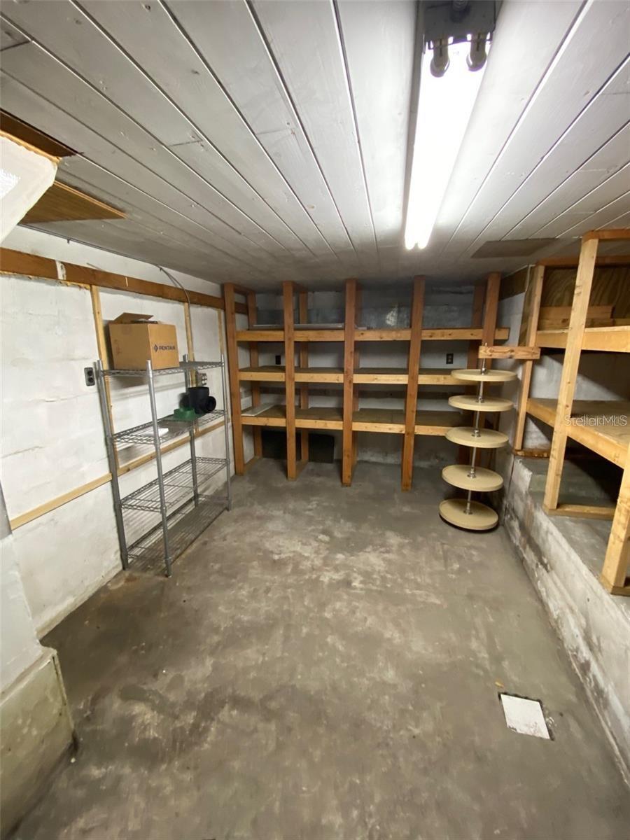 MOUNT DORA BRUN LT 01 - Residential