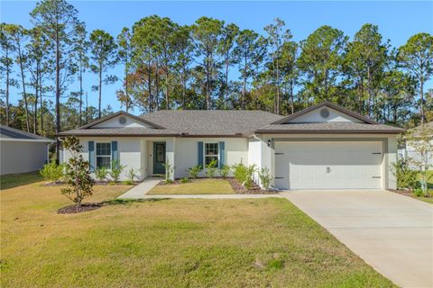 A home in PALM COAST