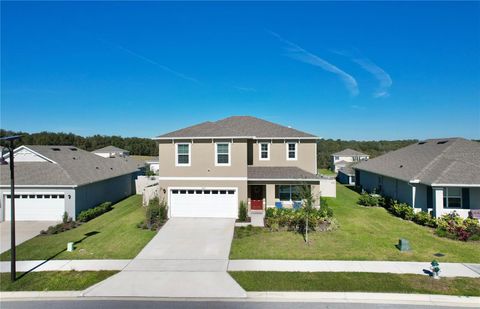 A home in MOUNT DORA