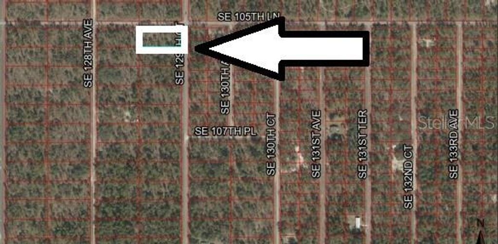 Photo of 1 SE 129th Court, Dunnellon, FL 34431 (MLS # TB8522537)
