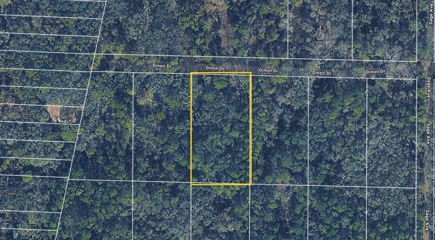 Build your future home on this vacant residential lot located on Pinon Dr, Webster, FL 33597 in the quiet Ridge Manor Estates area. This property offers a peaceful rural setting with electricity available nearby, making it a great opportunity for development or investment. The lot features dirt/gravel road access and will require well water and a septic system, which is typical for the area. Zoned R1C residential, it allows for single-family or mobile homes (buyer to verify with county). Enjoy privacy and country living while still being within reasonable distance of major roads and nearby towns. Cash purchase only. Buyer to pay all closing costs.