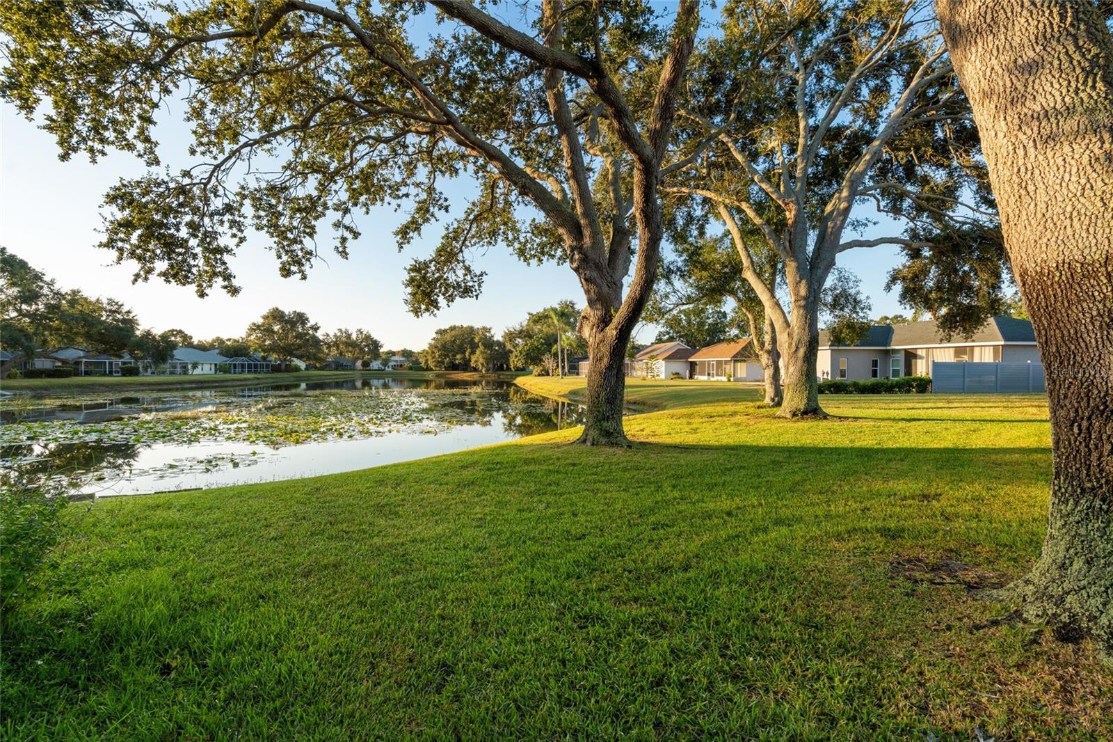 3461 CRYSTAL LAKES COURT