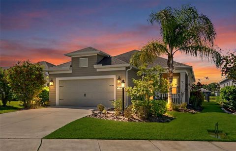 Photo of 4815 Deep Creek Terrace, Parrish, FL 34219 (MLS # A4688340)